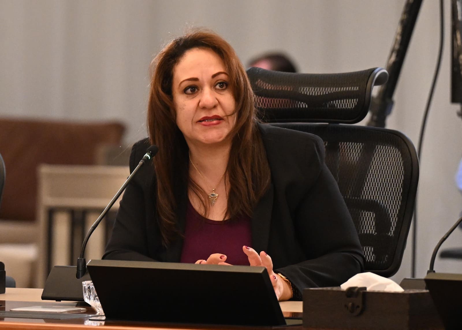 19 2024 638634874104342377 434 الشيوخ قيادة نسائية جديد تحت قبة الشيوخ".. من هي النائبة الدكتورة نورهان الشيخ؟ موقع في الجامعة