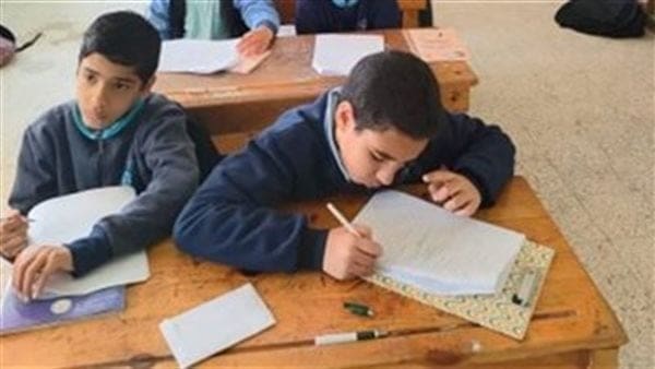 217 التقييمات الأسبوعية رابط وخطوات تحميل التقييمات الأسبوعية 2025 لجميع المراحل الدراسية  موقع في الجامعة