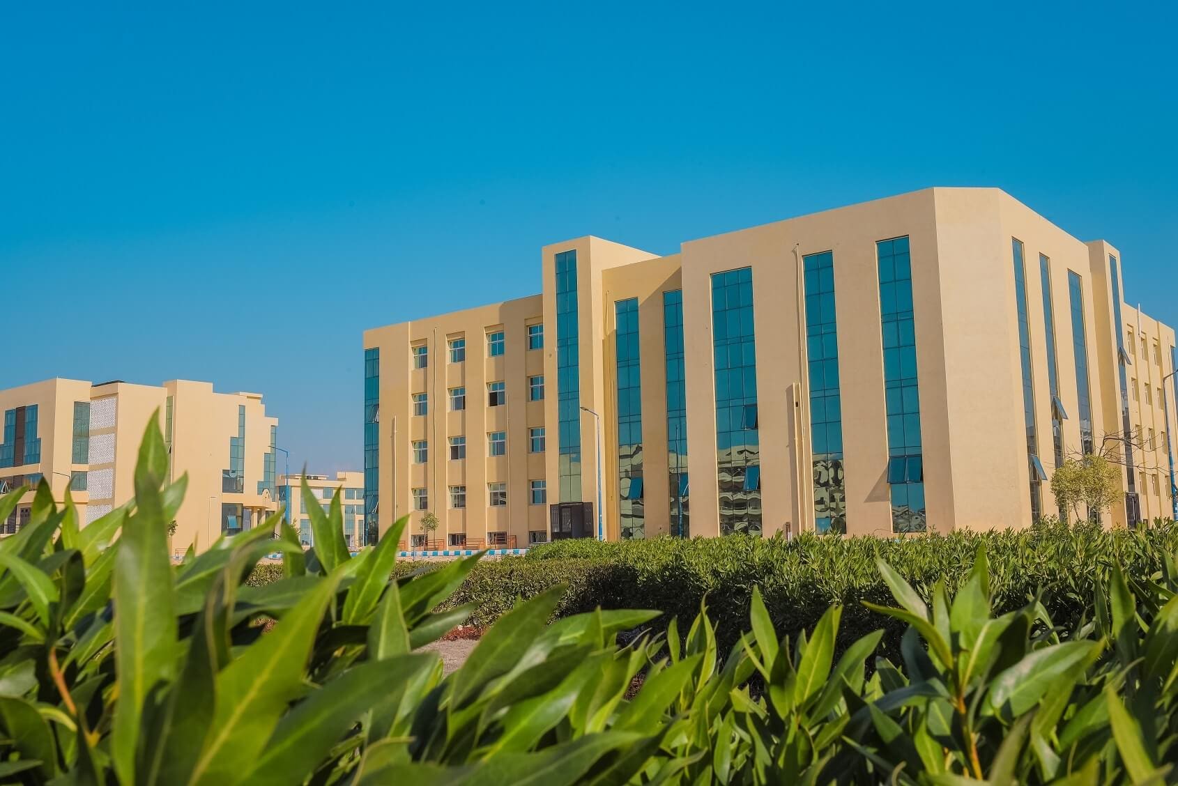 IMG 2173 تعليم جامعة العريش تحصل على الفئة الفضية في الاستبيان المصري للمشاركات الطلابية بالجامعات موقع في الجامعة