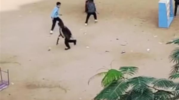 799 فصل فصل 4 طلاب ومجازاة مسؤولين بمدرسة شهداء الحرية بالجيزة بعد فيديو القطة النافقة موقع في الجامعة