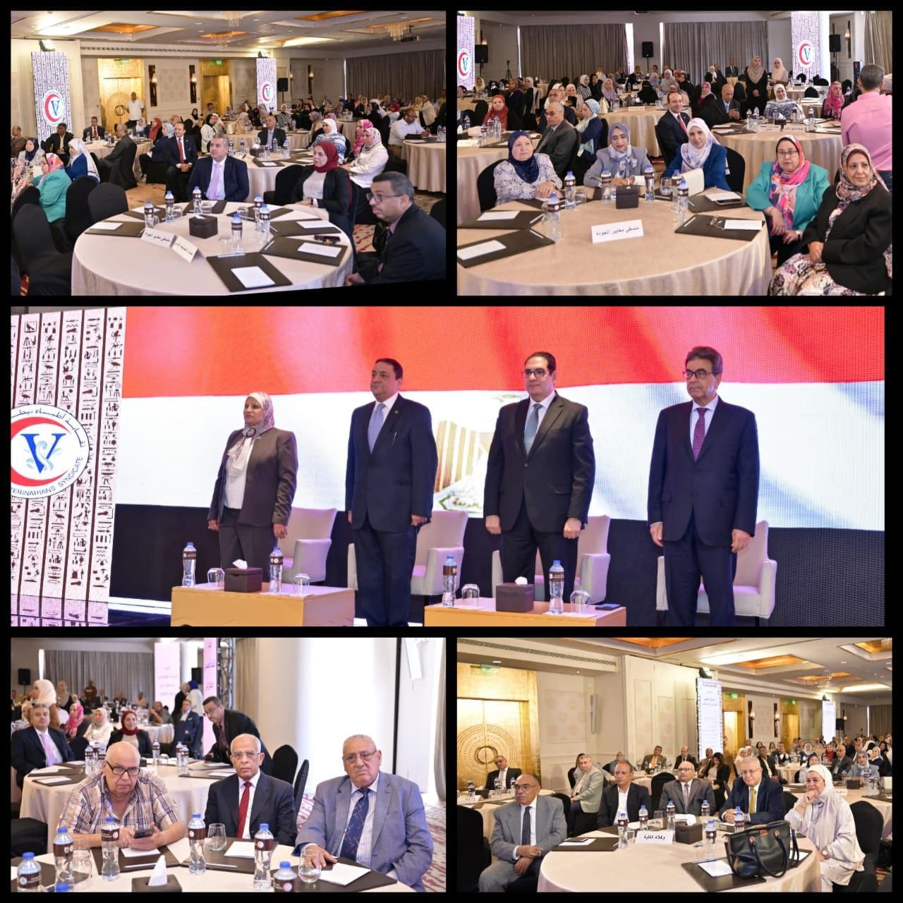 IMG 20251105 WA0017 طب طب بيطري القاهرة تحتفل بتجديد اعتمادها المؤسسي والبرامجي وتتطلع للاعتماد الدولي وتعزيز ريادتها عالميًا موقع في الجامعة