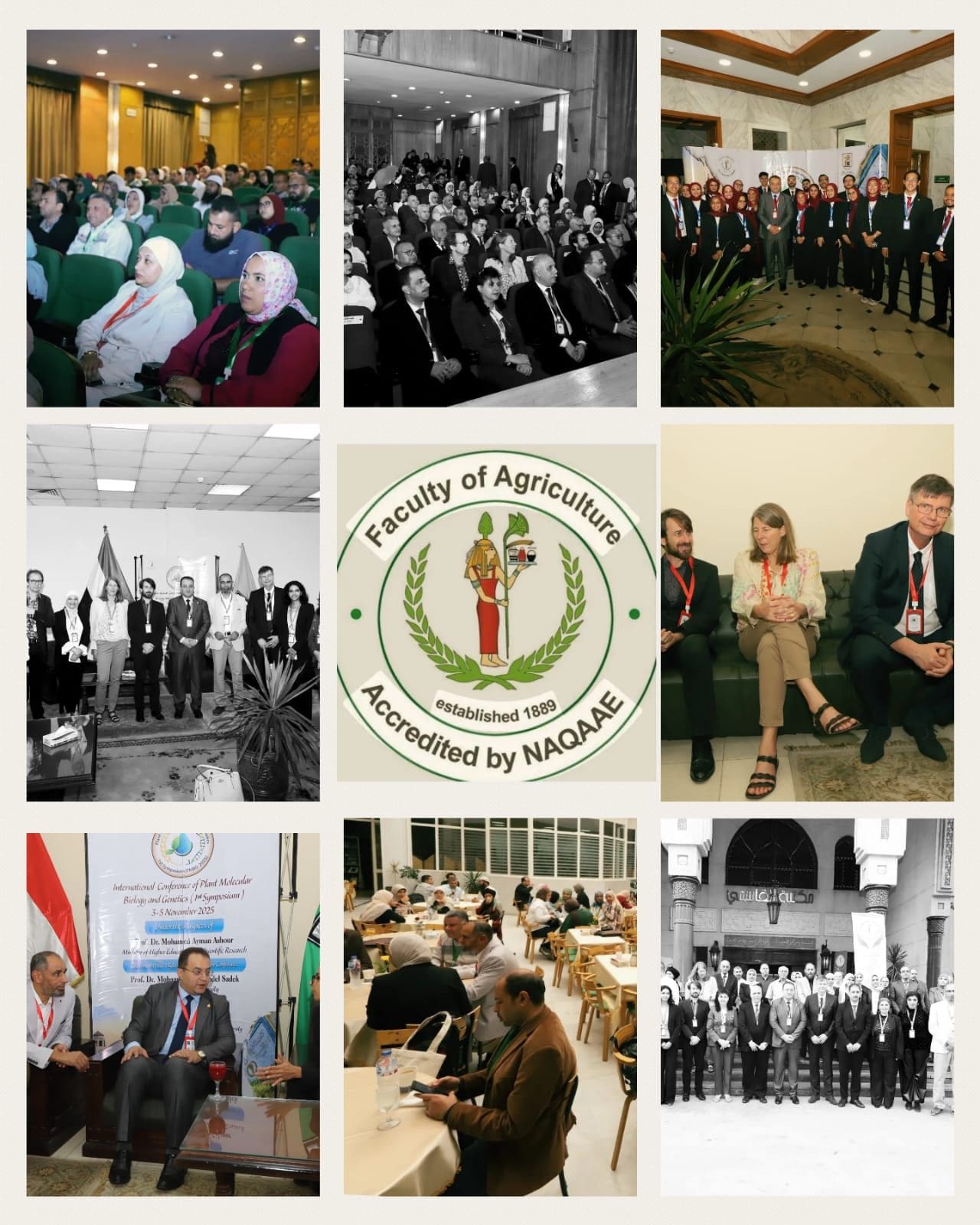 IMG 20251110 WA0055 متخصصة جامعة القاهرة تختتم المؤتمر الدولي للبيولوجيا الجزيئية النباتية والوراثة بحضور دولي واسع لتعزيز الابتكار واستدامة الزراعة موقع في الجامعة