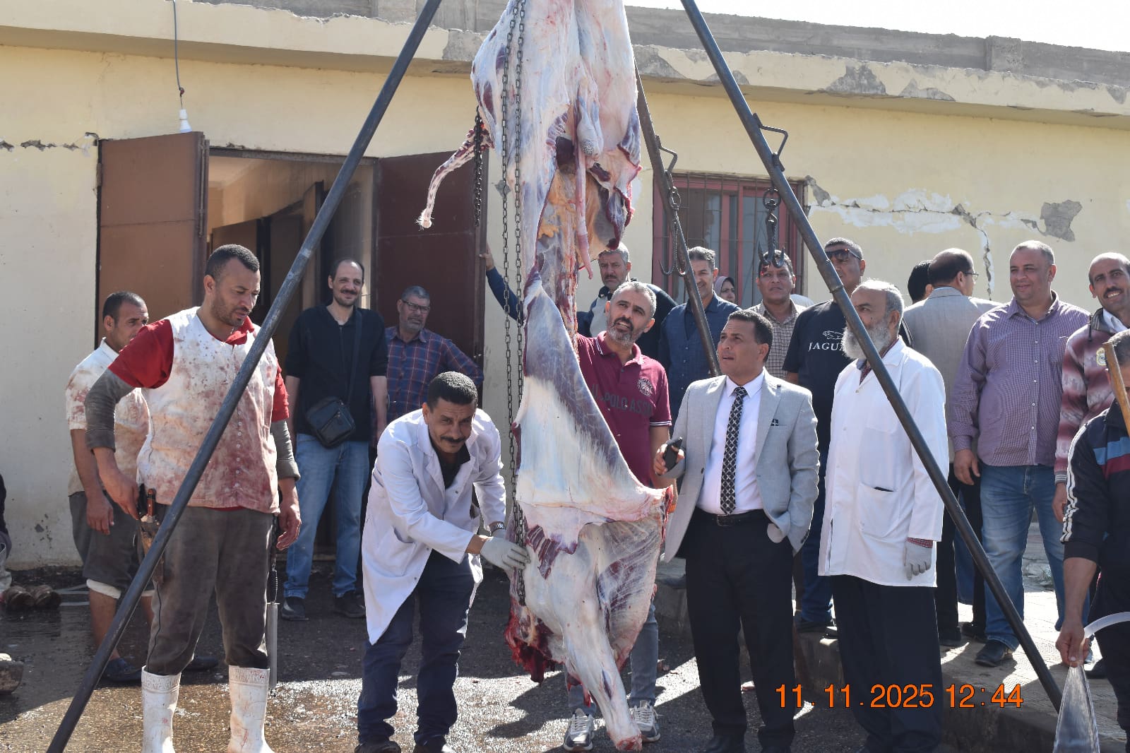 IMG 20251111 WA0004 1 مهرجان رئيس جامعة مدينة السادات يتفقد معرض بيع اللحوم والمواد الغذائية بكلية الطب البيطري موقع في الجامعة