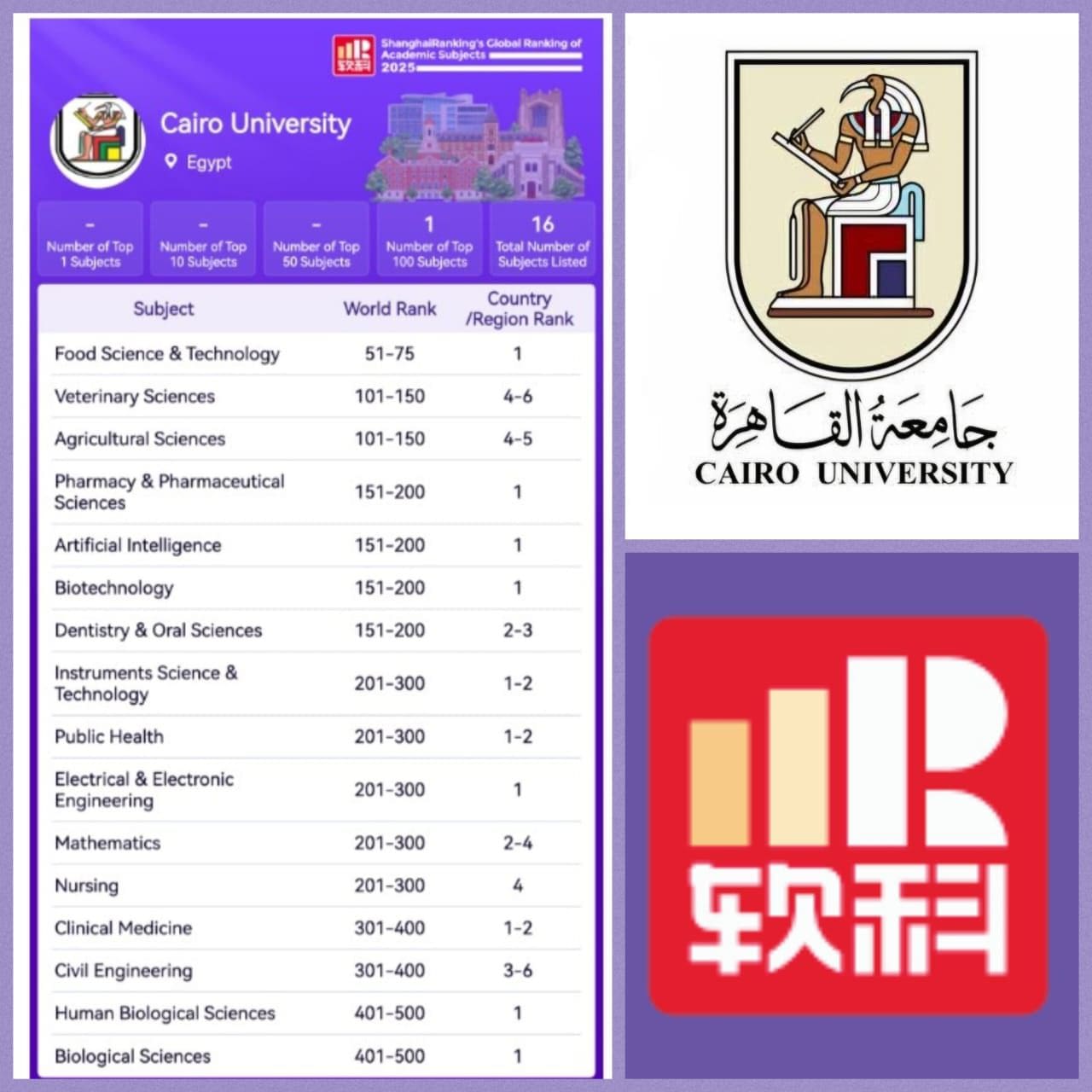 IMG 20251120 WA0002 جامعة المنصورة جامعة القاهرة تحصد إنجازًا عالميًا جديدًا بدخولها ضمن الأفضل في 16 تخصصًا بتصنيف شنغهاي 2025 موقع في الجامعة