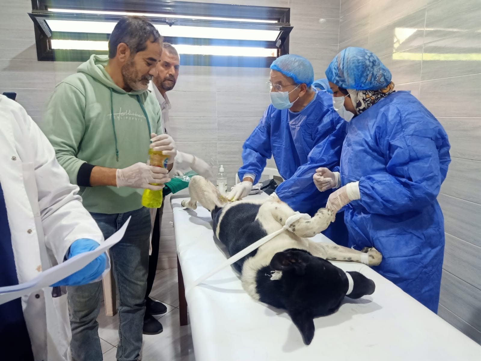 IMG 5368 مبادرة انطلاق مبادرة "نحو بيئة آمنة" بجامعة الإسكندرية لحماية الإنسان والحيوان وتعزيز التوازن البيئي موقع في الجامعة