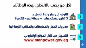 7574 فرصة عمل في 63 شركة بـ 13 محافظة.. التخصصات المطلوبة وأخر موعد للتقديم 3 7574 فرصة عمل في 63 شركة بـ 13 محافظة.. التخصصات المطلوبة وأخر موعد للتقديم