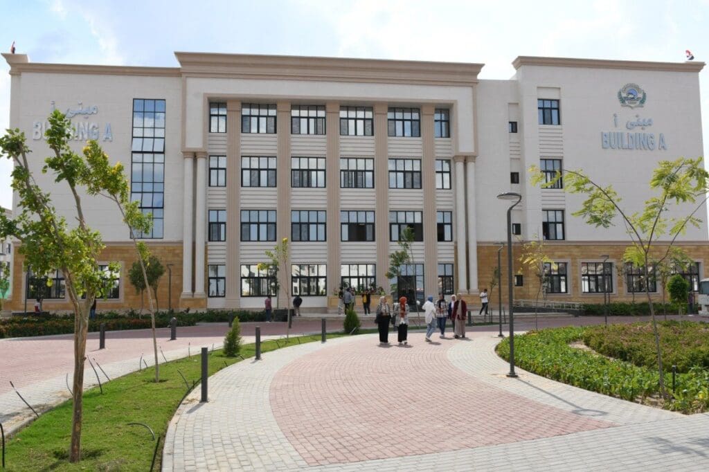 جامعة الإسماعيلية الأهلية