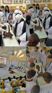 جامعة القاهرة الأهلية تدعم كفاءة طلاب العلاج الطبيعي بتدريب عملي متقدم داخل معامل التشريح 2 FB IMG 1764659115081 جامعة القاهرة جامعة القاهرة الأهلية تدعم كفاءة طلاب العلاج الطبيعي بتدريب عملي متقدم داخل معامل التشريح موقع في الجامعة