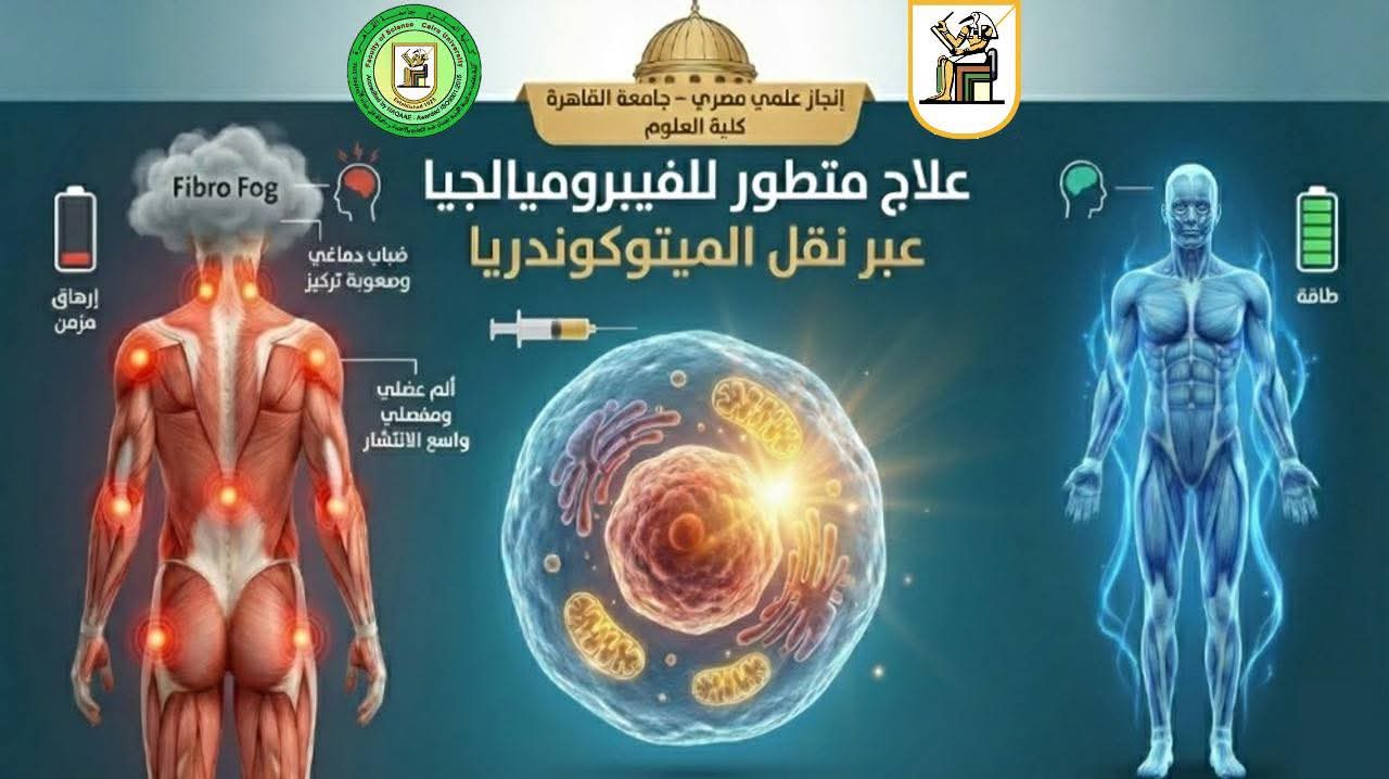 FB IMG 1765374139906 تحالف إنجاز طبي غير مسبوق بجامعة القاهرة يكشف بارقة أمل جديدة لعلاج الفيبروميالجيا موقع في الجامعة