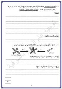 FB IMG 1766856621247 نماذج نماذج امتحانات لمادة العلوم للشهادة الإعدادية 2025-2026 بالشرقية| صور موقع في الجامعة
