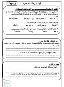 FB IMG 1766860874023 الفيوم مديرية تعليم الفيوم توفر نماذج اختبارات تجريبية للصف الثالث الإعدادي في جميع المواد موقع في الجامعة