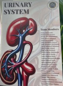FB IMG 1766867677841 جامعة المنصورة الأهلية جامعة المنصورة الأهلية تطلق تجربة تعليمية مبتكرة بتصميم طلاب صيدلة لمجلات علمية مصغّرة موقع في الجامعة