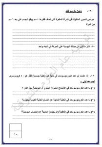 FB IMG 1767027166411 نماذج نماذج استرشادية لمادة العلوم لطلاب الشهادة الإعدادية بالشرقية موقع في الجامعة