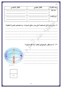 FB IMG 1767027175565 نماذج نماذج استرشادية لمادة العلوم لطلاب الشهادة الإعدادية بالشرقية موقع في الجامعة