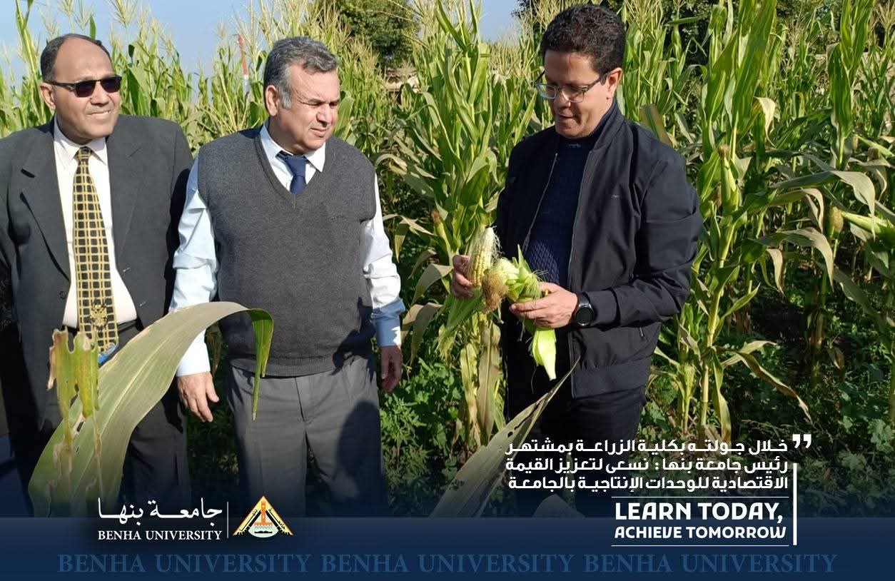 FB IMG 1767193189892 بنها رئيس جامعة بنها يعلن إنشاء منفذ شركة «بداية» لتسويق خدمات الجامعة موقع في الجامعة