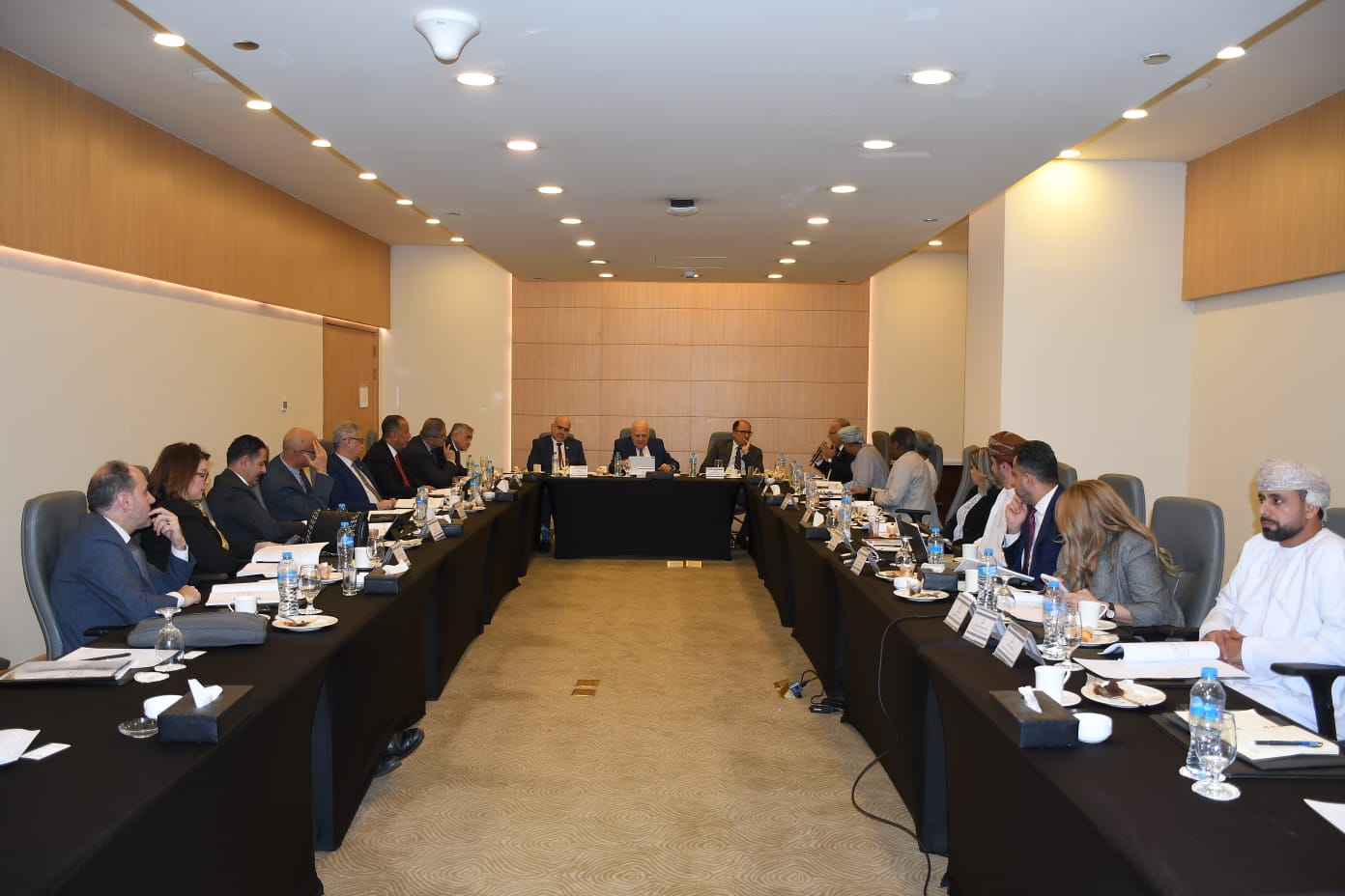 IMG 20251206 WA0094 جامعة طنطا جامعة العاصمة تستضيف الاجتماع الأول للمجلس التنفيذي لاتحاد الجامعات العربية وتعزز دعم الجامعات الفلسطينية موقع في الجامعة