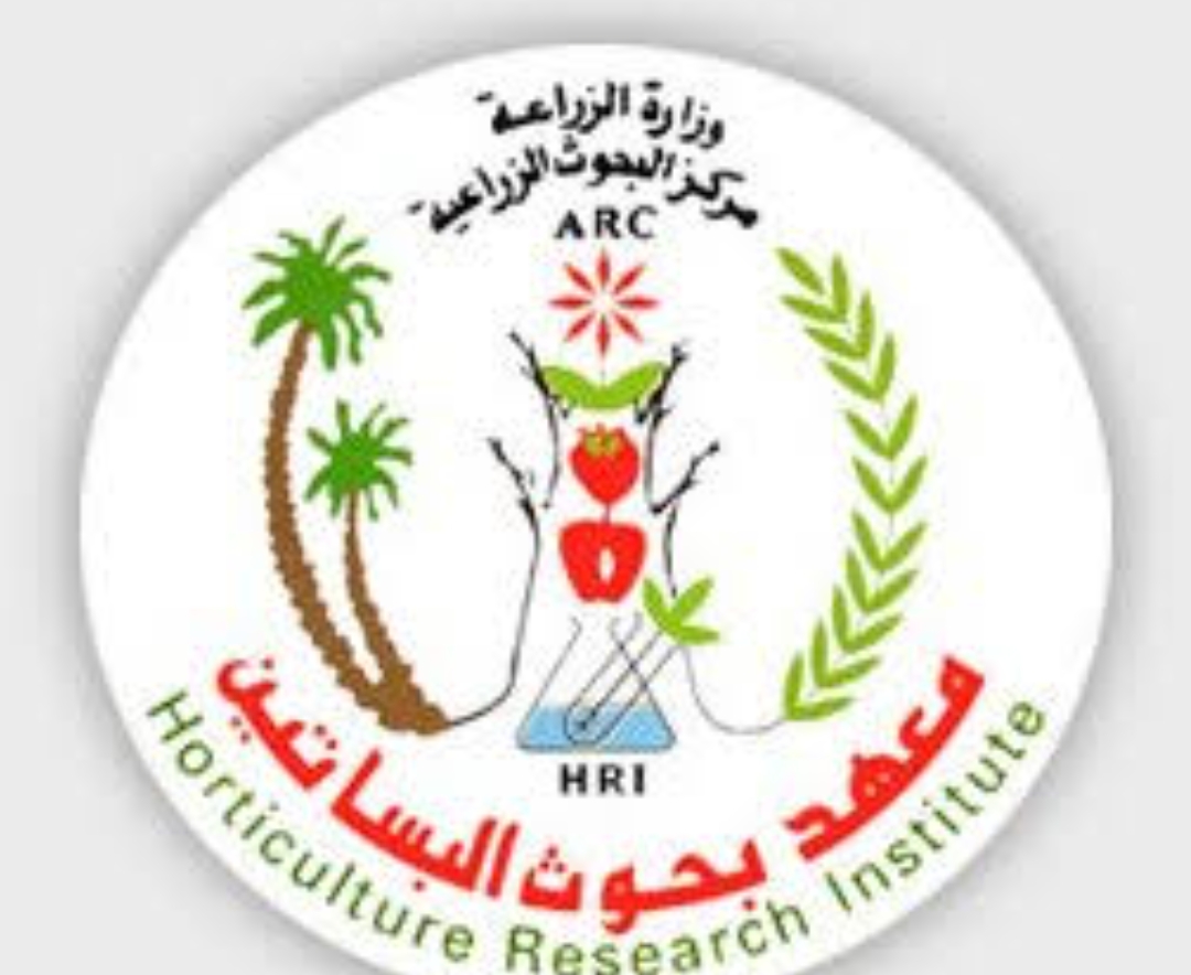 IMG 20251207 WA0064 1 معهد بحوث الصحة الحيوانية مبادرة موقع في الجامعة.. معهد بحوث البساتين يواصل تطوير الإنتاج البستاني في مصر لدعم السوق المحلي والتصدير موقع في الجامعة