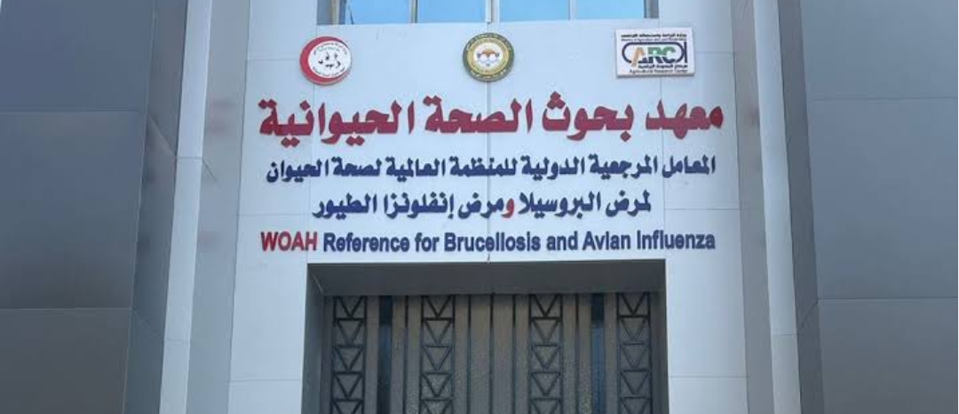 IMG 20251207 WA0069 معهد بحوث الصحة الحيوانية معهد بحوث الصحة الحيوانية يواصل تعزيز جهوده البحثية وحملات التوعية لحماية الثروة الحيوانية في مصر موقع في الجامعة