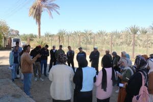 مبادرة في الجامعة البحثية.. طلاب جامعة طنطا يزورون محطة بحوث سيوة لتطبيقات الزراعة والبحث العلمي 2 IMG 8744 طنطا مبادرة في الجامعة البحثية.. طلاب جامعة طنطا يزورون محطة بحوث سيوة لتطبيقات الزراعة والبحث العلمي موقع في الجامعة