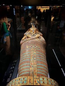 IMG 8821 المنوفية تعزيزًا للوعي الثقافي.. رحلة لطلاب جامعة المنوفية الأهلية إلى المتحف المصري الكبير موقع في الجامعة