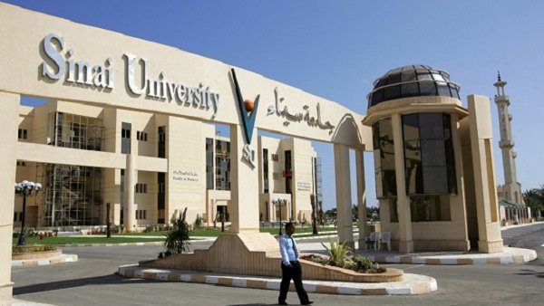 جامعة سيناء