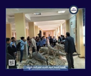طلاب مدارس السويس في زيارة علمية للمعهد القومي لعلوم البحار والمصايد 2 IMG 9217 السويس طلاب مدارس السويس في زيارة علمية للمعهد القومي لعلوم البحار والمصايد موقع في الجامعة