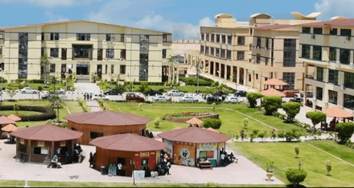 IMG ٢٠٢٥٠٥٣٠ ٢٠٤٩١٠ جامعة الدلتا للعلوم والتكنولوجيا تفتح باب التوظيف جامعة الدلتا للعلوم والتكنولوجيا تفتح باب التوظيف بمستشفى الجامعة في تخصصات متعددة.. رابط التسجيل موقع في الجامعة