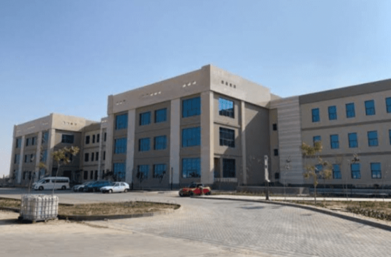 مصروفات جامعة العلمين الدولية 2026