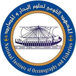 إنجاز علمي جديد في الاستزراع البحري: نجاح تفريخ أسماك البوري صناعيًا لأول مرة على نطاق إنتاجي بمصر 4 1767888536170 نجاح تفريخ أسماك البوري صناعيًا لأول مرة إنجاز علمي جديد في الاستزراع البحري: نجاح تفريخ أسماك البوري صناعيًا لأول مرة على نطاق إنتاجي بمصر موقع في الجامعة