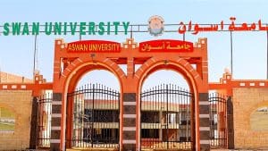 لخريجي 2023.. جامعة أسوان تعلن عن وظائف معيدين وأطباء مقيمين بكلية الطب 2 265 وظائف لخريجي 2023.. جامعة أسوان تعلن عن وظائف معيدين وأطباء مقيمين بكلية الطب موقع في الجامعة