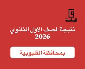 نتيجة الصف الأول الثانوي 2026 بالقليوبية