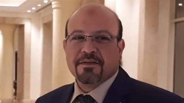 الدكتور وائل كامل أستاذ بجامعة حلوان