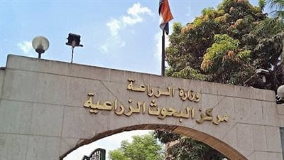 867 معهد مبادرة في الجامعة البحثية.. معهد بحوث الصناعات الغذائية يقدم حلول مبتكرة للأغذية العلاجية وأنظمة غذائية للفئات الخاصة موقع في الجامعة