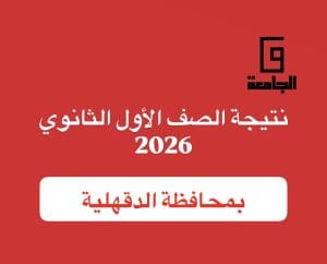 برقم الجلوس فقط.. رابط نتيجة الصف الأول الثانوي 2026 بالدقهلية 2 نتيجة الصف الأول الثانوي 2026 بالدقهلية