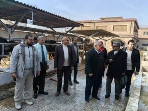 FB IMG 1767969225101 قيادات مبادرة في الجامعة البحثية.. قيادات معهد بحوث الإنتاج الحيواني يتفقدون محطات البحوث بكفر الشيخ موقع في الجامعة