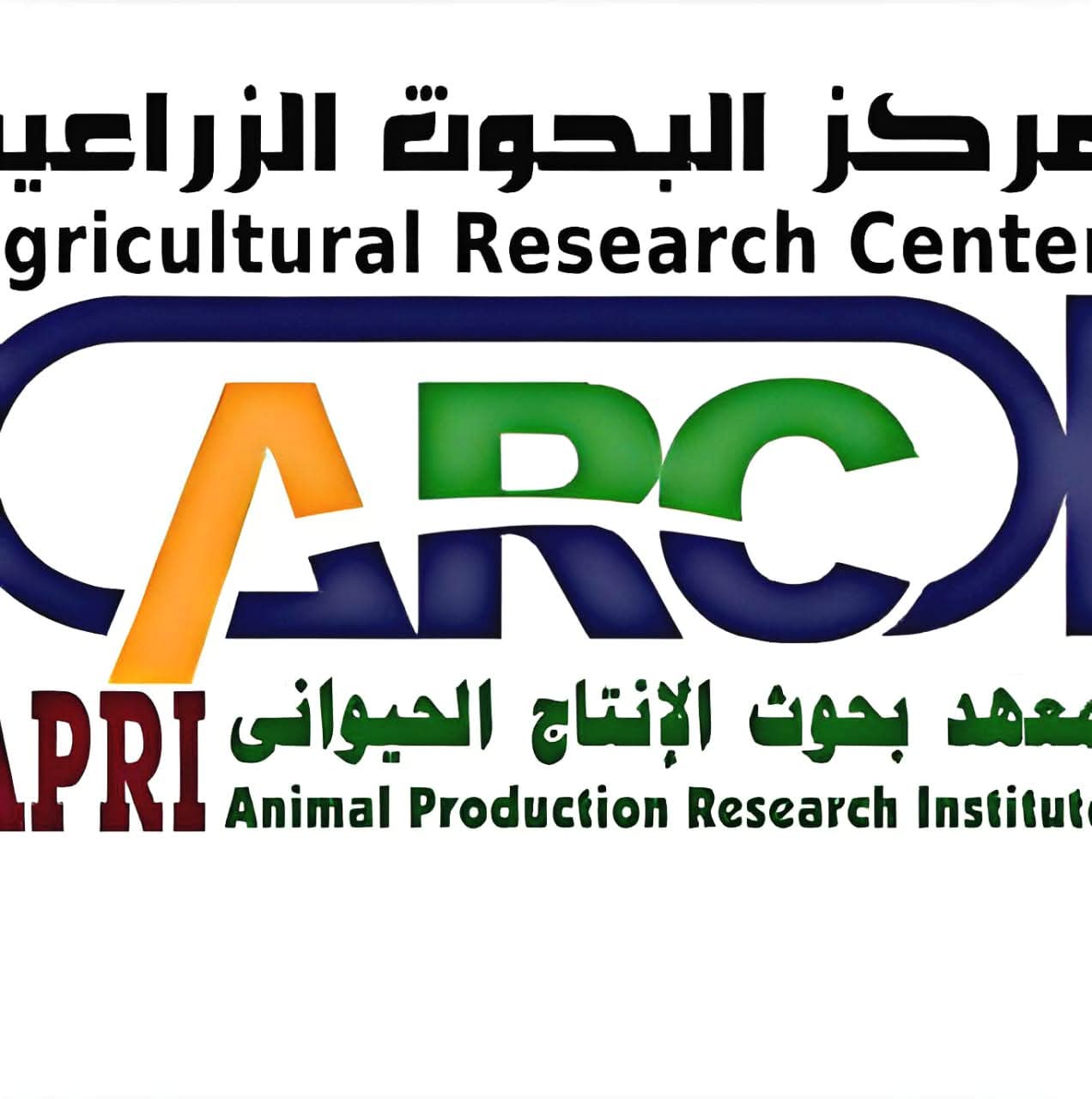 FB IMG 1768238088144 معرض مبادرة في الجامعة البحثية.. البروبيوتك وعلاقتها بصحة الإنسان موقع في الجامعة