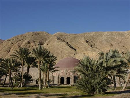 IMG 20260115 WA0182 فيروس يصيب الأطفال هل زار سيدنا النبي مصر في رحلة الإسراء؟.. عميد كلية الدعوة يجيب ـ فيديو موقع في الجامعة
