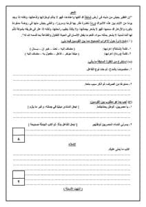 IMG 20260116 WA0094 نماذج نماذج استرشادية لمادة اللغة العربية لطلاب الصف الثالث الإعدادي بالبحيرة والدقهلية موقع في الجامعة