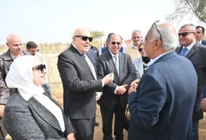 الجامعة البريطانية في مصر تطلق مبادرة بحثية لتحويل المخلفات الزراعية إلى علف حيواني بنويبع 2 الجامعة البريطانية في مصر تطلق مبادرة بحثية لتحويل المخلفات الزراعية إلى علف حيواني بنويبع