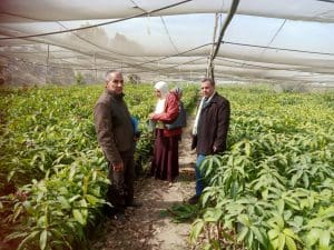 جامعة قناة السويس تنفذ قافلة تنموية شاملة للتل الكبير وفحص 647 حالة مجانًا 3 جامعة قناة السويس تنفذ قافلة تنموية شاملة للتل الكبير