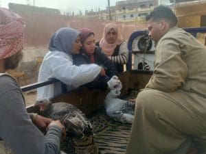 جامعة قناة السويس تنفذ قافلة تنموية شاملة للتل الكبير وفحص 647 حالة مجانًا 6 جامعة قناة السويس تنفذ قافلة تنموية شاملة للتل الكبير