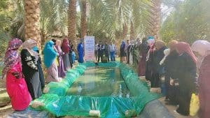 مبادرة في الجامعة البحثية.. حصاد الأنشطة البحثية والإرشادية والخدمية والميدانية لمركز بحوث الصحراء خلال ديسمبر 2025 4 IMG 0421 البحثية مبادرة في الجامعة البحثية.. حصاد الأنشطة البحثية والإرشادية والخدمية والميدانية لمركز بحوث الصحراء خلال ديسمبر 2025 موقع في الجامعة