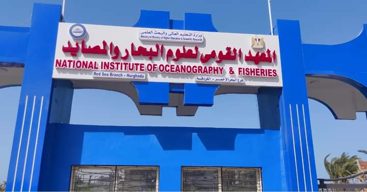 IMG 1244 المعهد مبادرة في الجامعة البحثية.. المعهد القومي للعلوم البحرية والمصايد يطلق ورشة حول الاستزراع السمكي المستدام موقع في الجامعة