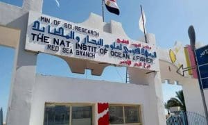 المعهد القومي لعلوم البحار ينظم الملتقى العلمي الأول حول تحديات الاستدامة في الاستزراع المائي بمصر 2026 3 IMG 1436 المعهد القومي لعلوم البحار المعهد القومي لعلوم البحار ينظم الملتقى العلمي الأول حول تحديات الاستدامة في الاستزراع المائي بمصر 2026 موقع في الجامعة