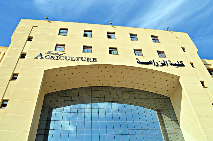 IMG 1439 جامعة القاهرة كلية الزراعة جامعة القاهرة تفتح التقديم لبرنامج الماجستير المهني في التغذية التخصصية.. التفاصيل كاملة موقع في الجامعة
