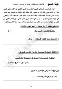 IMG 1560 اللغة العربية اللغة العربية للشهادة الإعدادية 2026.. النموذج الثاني والمراجعة النهائية قبل الامتحان موقع في الجامعة