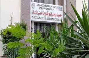 معهد بحوث وقاية النباتات يحصل على شهادة الاعتماد الدولي ISO 56001:2024 لأول مرة في مصر 2 معهد بحوث وقاية النباتات