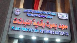معهد بحوث وقاية النباتات يحصل على شهادة الاعتماد الدولي ISO 56001:2024 لأول مرة في مصر 3 معهد بحوث وقاية النباتات