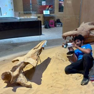 جامعة المنصورة تنفذ نموذجًا ثلاثي الأبعاد لحفرية "باسيلوصورس" 