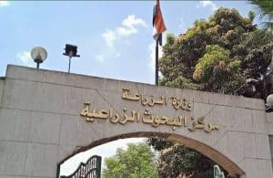 مبادرة في الجامعة البحثية.. ملخص أنشطة وإنجازات مركز البحوث الزراعية 2026 5 IMG 1982 مركز البحوث الزراعية 2026 مبادرة في الجامعة البحثية.. ملخص أنشطة وإنجازات مركز البحوث الزراعية 2026 موقع في الجامعة